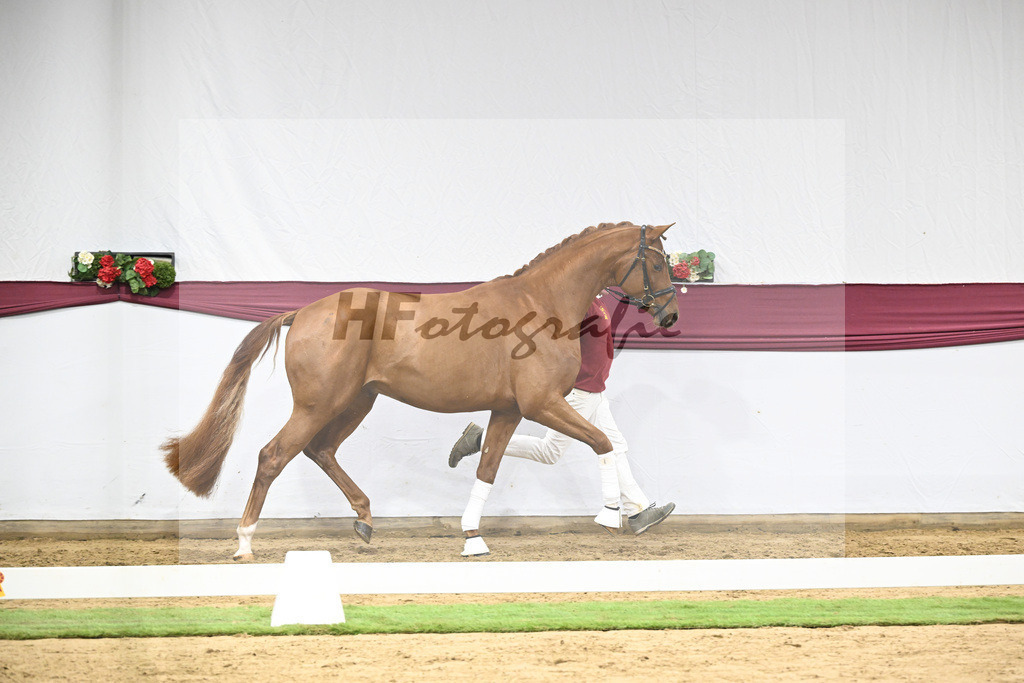 Kat-Nr. 133 Von Und Zu x Locksley III_Sabine Lehner_47254479 | hf-fotografie - Realizzato con Pictrs.com