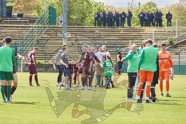 BFC Dynamo vs. BSG Chemie Leipzig  101 | mythos-online-redaktion