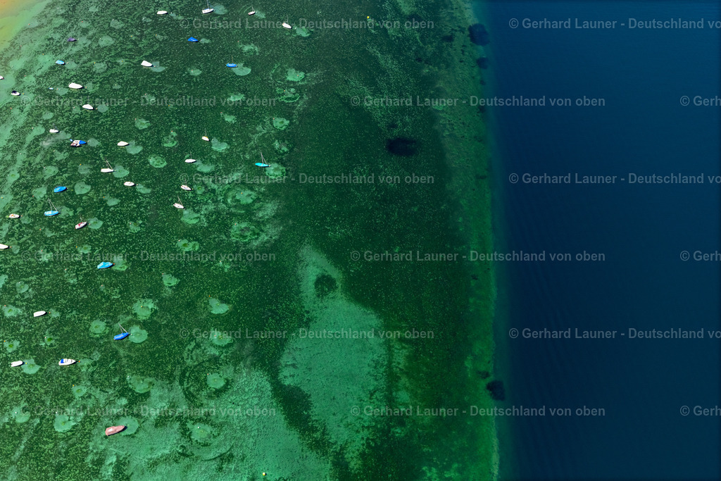 4027191 | MüNSTERLINGEN 17.05.2020 Uferbereiche am Seegebiet des Bodensee Obersee in Münsterlingen im Kanton Thurgau, Schweiz. // Riparian areas on the lake area of Bodensee Obersee in Muensterlingen in the canton Thurgau, Switzerland. Foto: Gerhard Launer