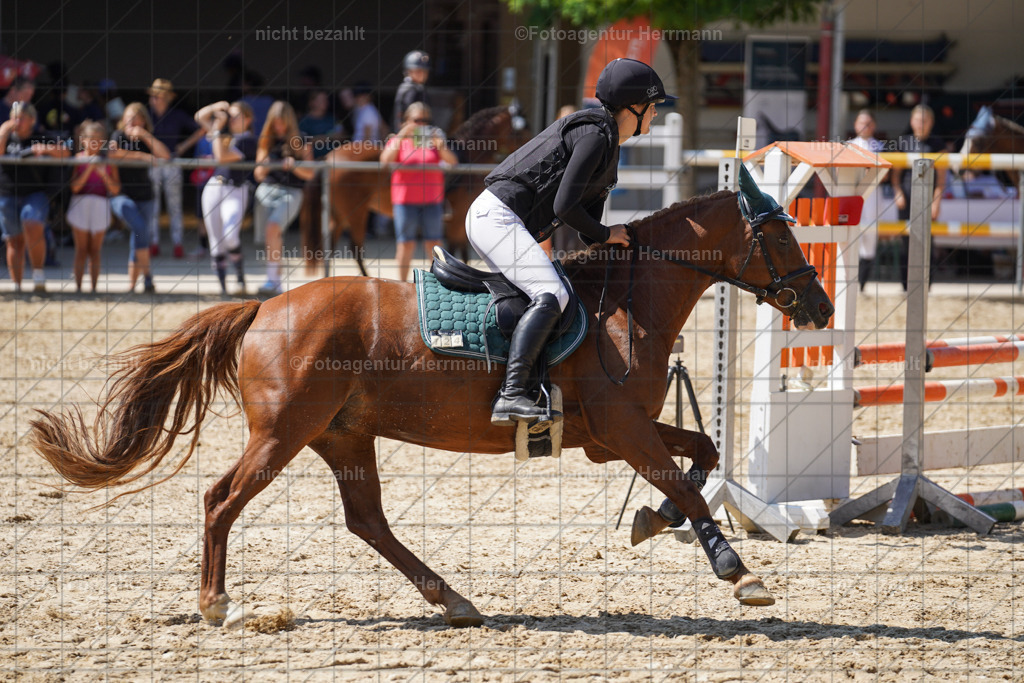 20240824-FAH08110 | Thierhaupten 2024, Bayerisches Landesponyturnier, Turnierbilder, Ponybilder, Turnierfotografen Bayern, Fotoagentur Herrmann