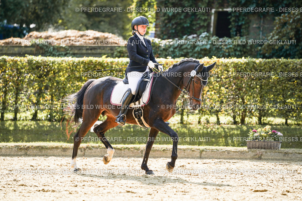 DSC07069 | Pferdegrafie