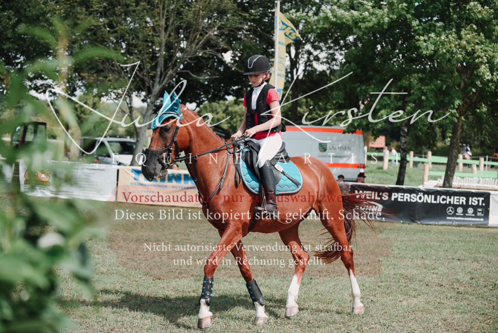 DSC_5741 | Pferde- und Turnierfotografie in Westsachsen. Pferdeportraits, Auftragszeichnungen und intuitive Kunst.