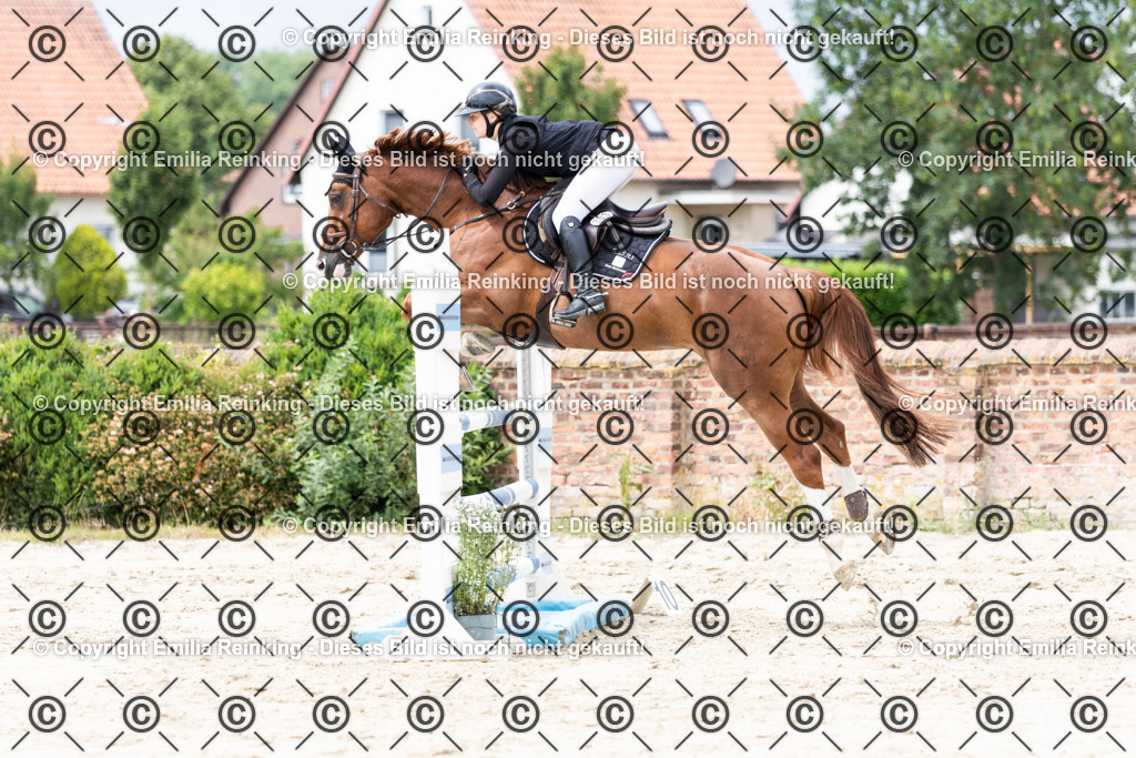 CL5A5450 | Emilia Reinking Fotografie - Realisiert mit Pictrs.com