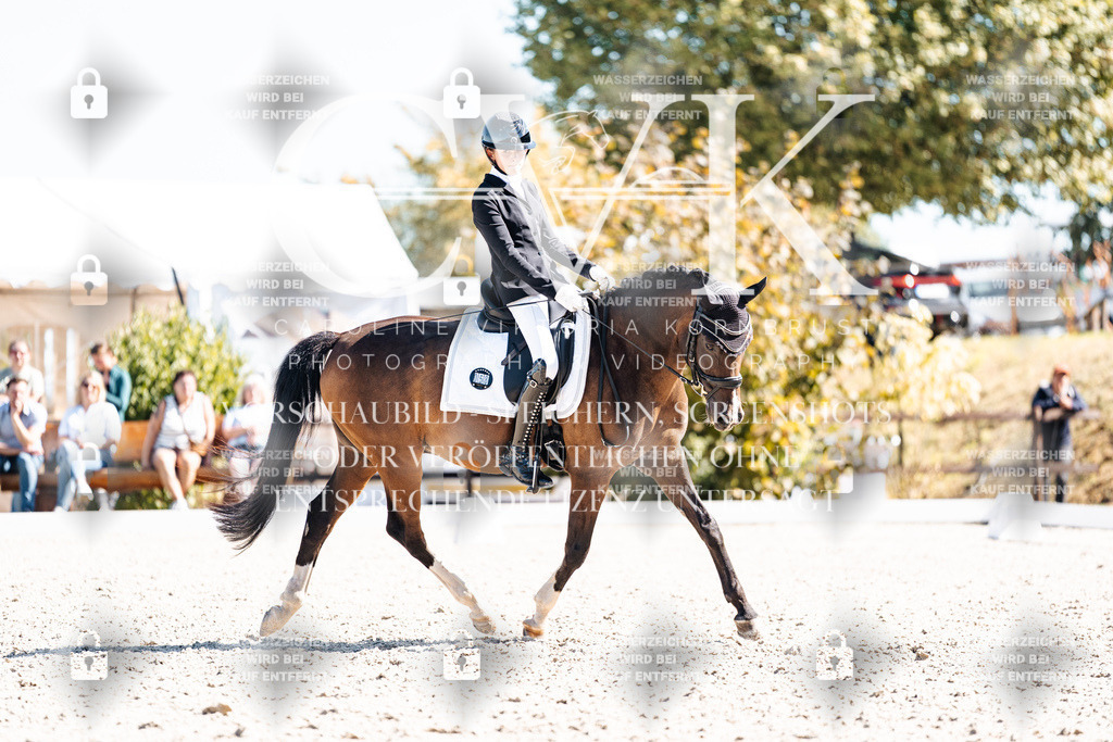 CK909615 | Turnierfotografie Pferdefotografie Trier Rheinland-Pfalz Pferdesport Reitsport Tierfotografie Sportfotografie Pferdevideo Pferdevideografie Equestrianvideography equestrianphotography  - Realisiert mit Pictrs.com