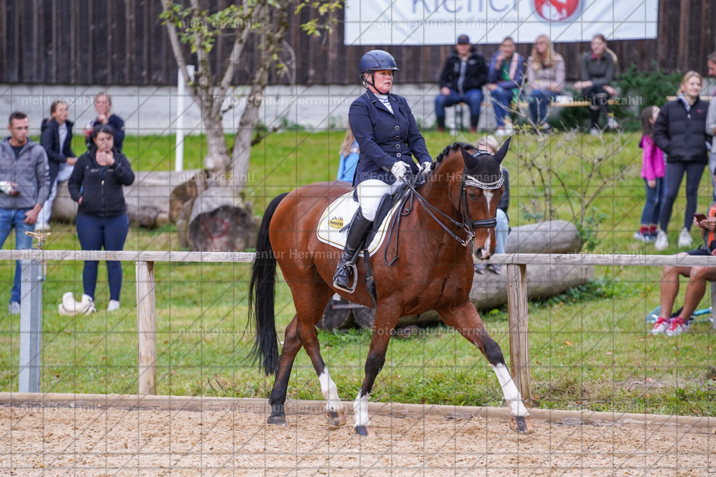 20231007-SN_00844 | Professionelle Turnier- und Reitsportfotografie - mit dem Finger am Auslöser. Pferdebilder aus dem Reitsport von den Turnierfotografen  Bayern , Pferdefotograf Bayern, Pferdeshooting Turnierbilder, Hochzeitsfotograf, Eventfotograf, Hochzeitsbilder