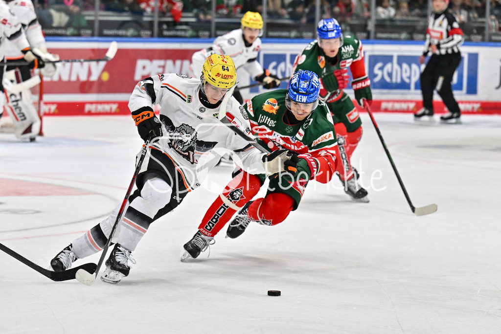 Augsburger Panther - Löwen Frankfurt | im Duell Markus SCHWEIGER (Löwen Frankfurt #64) und Christian HANKE (Augsburger Panther #25) / Zweikampf / DEL: Augsburger Panther - Löwen Frankfurt, Curt Frenzel Stadiom am 11.10.2024