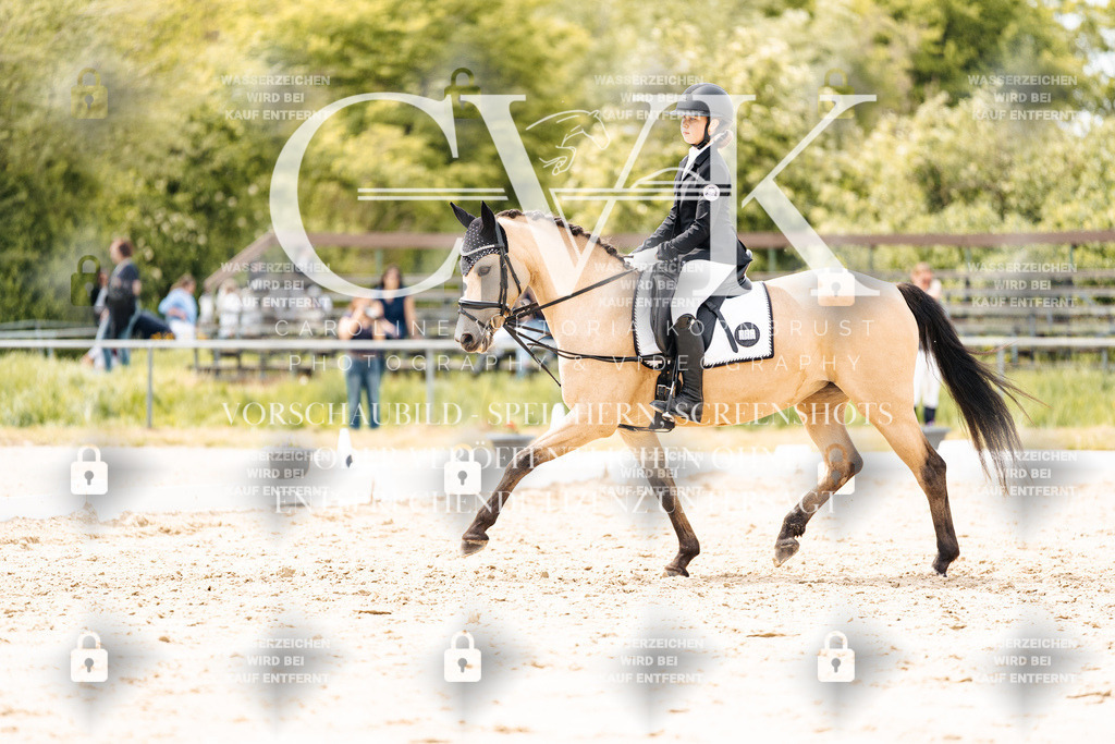 CK902493 | Turnierfotografie Pferdefotografie Trier Rheinland-Pfalz Pferdesport Reitsport Tierfotografie Sportfotografie Pferdevideo Pferdevideografie Equestrianvideography equestrianphotography  - Realisiert mit Pictrs.com