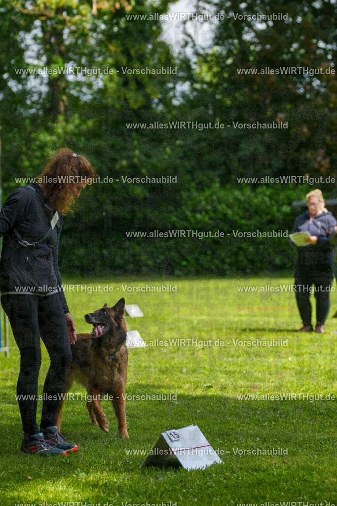 @allesWIRTHgut_Tierfotografie - www.allesWIRTHgut.de - 7R503731 | Professionelle Tierfotografie in Mönchengladbach von Daniel Wirth (allesWIRTHgut). Liebevolle & natürliche Bilder von Hunden & Katzen für unvergessliche Erinnerungen.