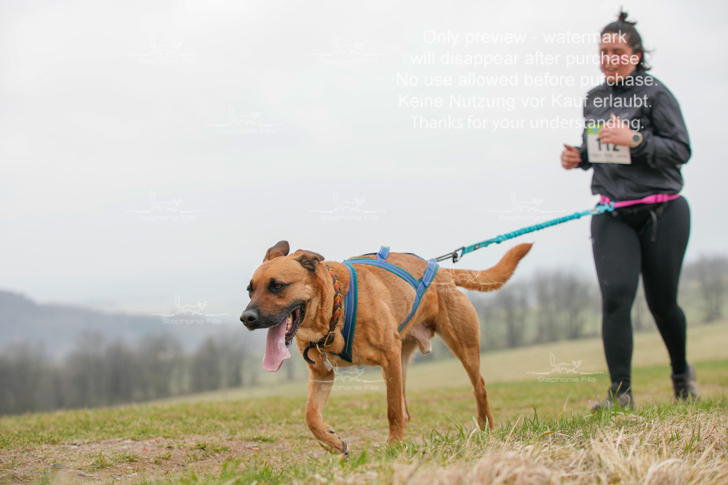 Canixlong-519 | stephaniefillaphotographie - Realisiert mit Pictrs.com