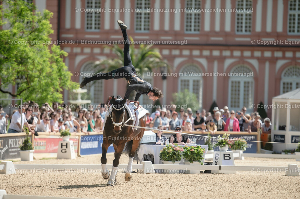 20230528_Voltigieren_NASPA_0117 | equistock
