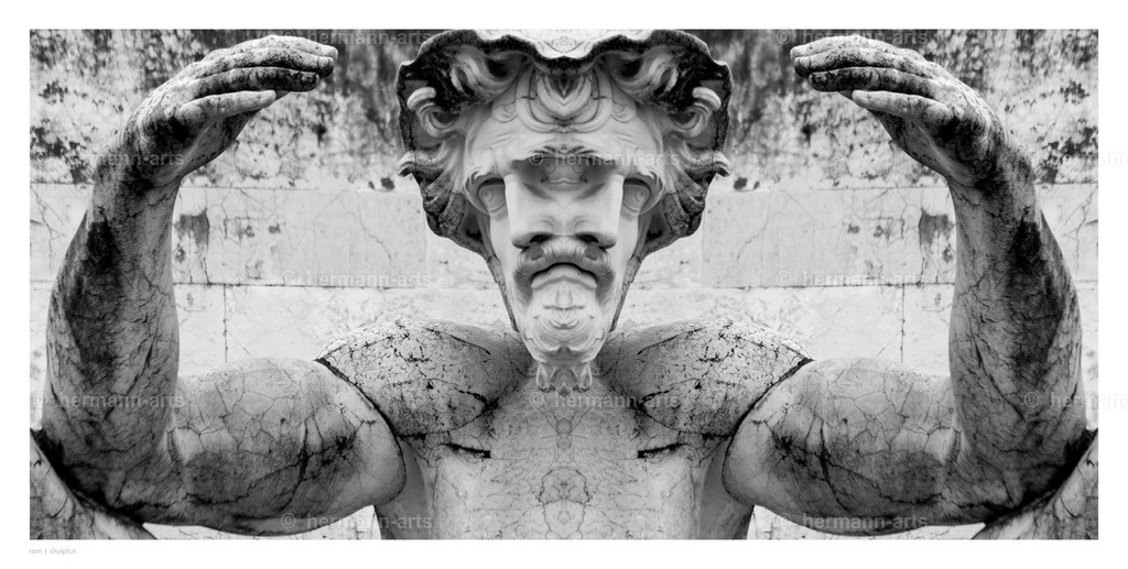 Hermann-Arts_Spiegelbilder_001 | Photo Foto Kunst Art schwarzweiss Bilder Rheine Münster Berlin Blumen 