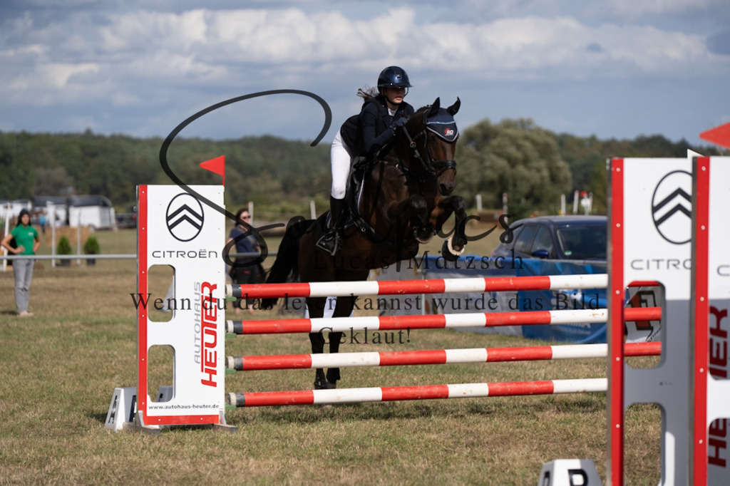 A7V09268 | Pferdefotograf