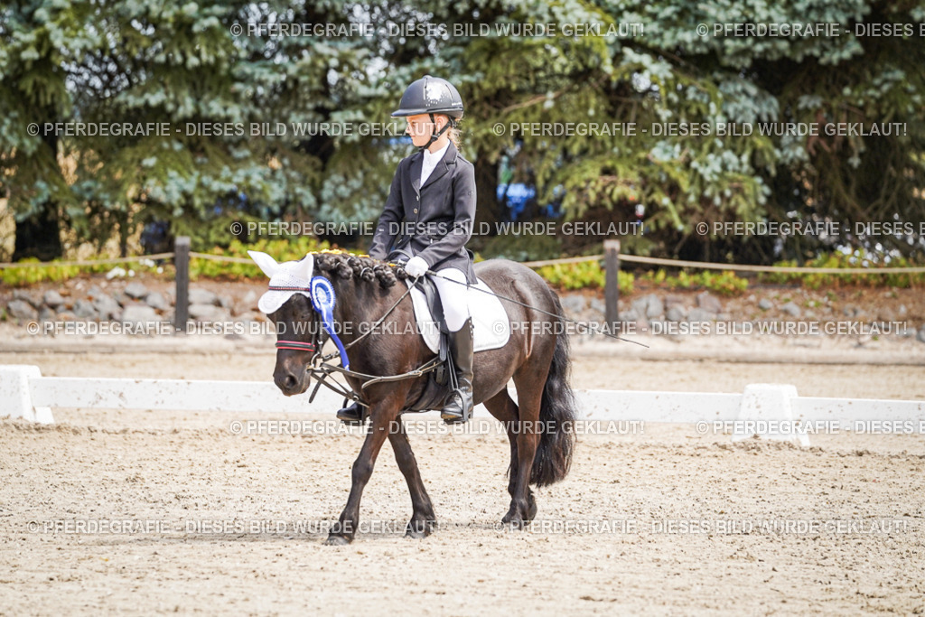 DSC02933 | Pferdegrafie