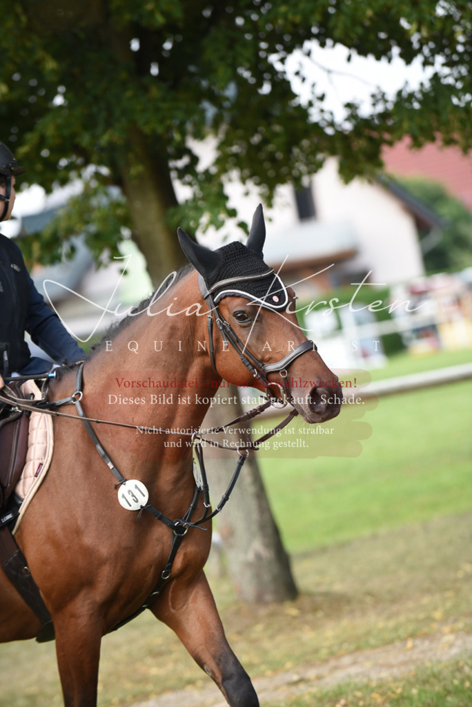 DSC_8620 | Pferde- und Turnierfotografie in Westsachsen. Pferdeportraits, Auftragszeichnungen und intuitive Kunst.