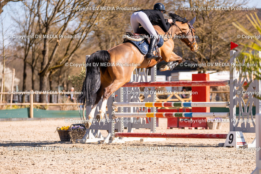 Kranichstein Tag 2-729 | dv-media-shop - Realisiert mit Pictrs.com