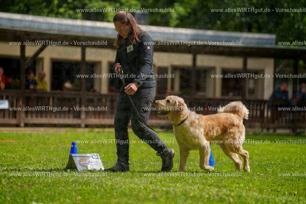 @allesWIRTHgut_Tierfotografie - www.allesWIRTHgut.de - 7R501587 | Professionelle Tierfotografie in Mönchengladbach von Daniel Wirth (allesWIRTHgut). Liebevolle & natürliche Bilder von Hunden & Katzen für unvergessliche Erinnerungen.