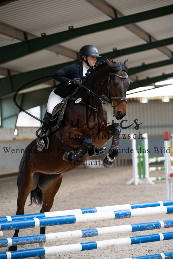 A7V07026 | Pferdefotograf