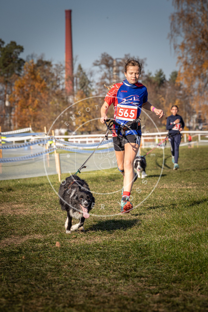 CaniXpix_0L8A7924 | Hundefotografie, Tierfotograf, Pfotenfotografie, Fotoshooting Hund, Hunde Portrait, Hundesport, Hundeportraits, Heideshooting, Hunde, Sportfotograf, Hundefotograf, Turnierhundsport, THS,  - Realisiert mit Pictrs.com