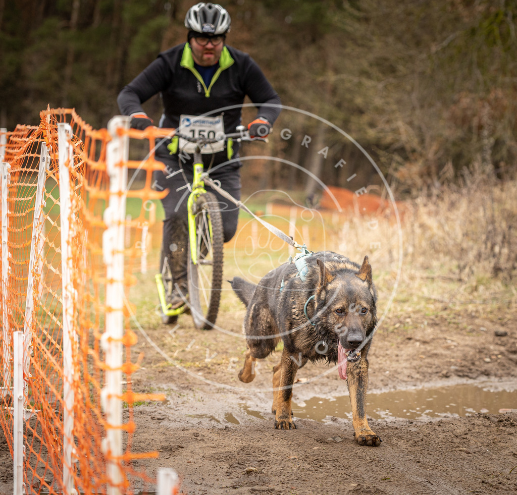 DV3A1625 | Hundefotografie, Tierfotograf, Pfotenfotografie, Fotoshooting Hund, Hunde Portrait, Hundesport, Hundeportraits, Heideshooting, Hunde, Sportfotograf, Hundefotograf, Turnierhundsport, THS,  - Realisiert mit Pictrs.com