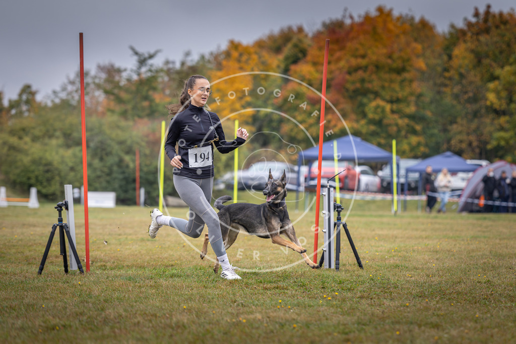 Pfotenfotografie_DV3A0981 | Hundefotografie, Tierfotograf, Pfotenfotografie, Fotoshooting Hund, Hunde Portrait, Hundesport, Hundeportraits, Heideshooting, Hunde, Sportfotograf, Hundefotograf, Turnierhundsport, THS,  - Realisiert mit Pictrs.com