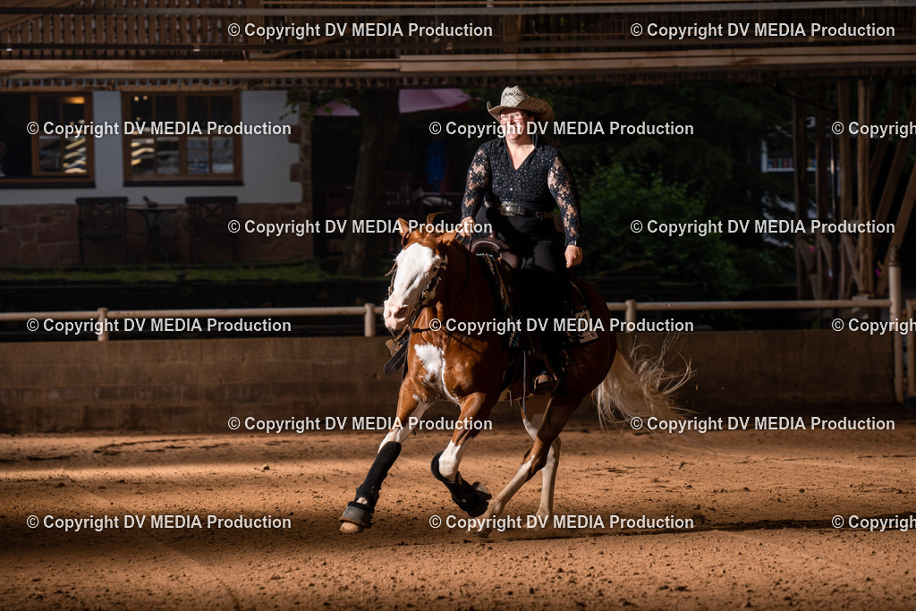 Erbach Tag 2-1137 | dv-media-shop - Realisiert mit Pictrs.com