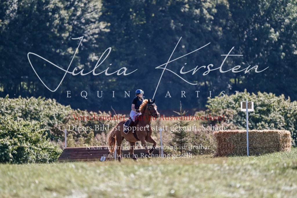 DSC_3044 | Pferde- und Turnierfotografie in Westsachsen. Pferdeportraits, Auftragszeichnungen und intuitive Kunst.