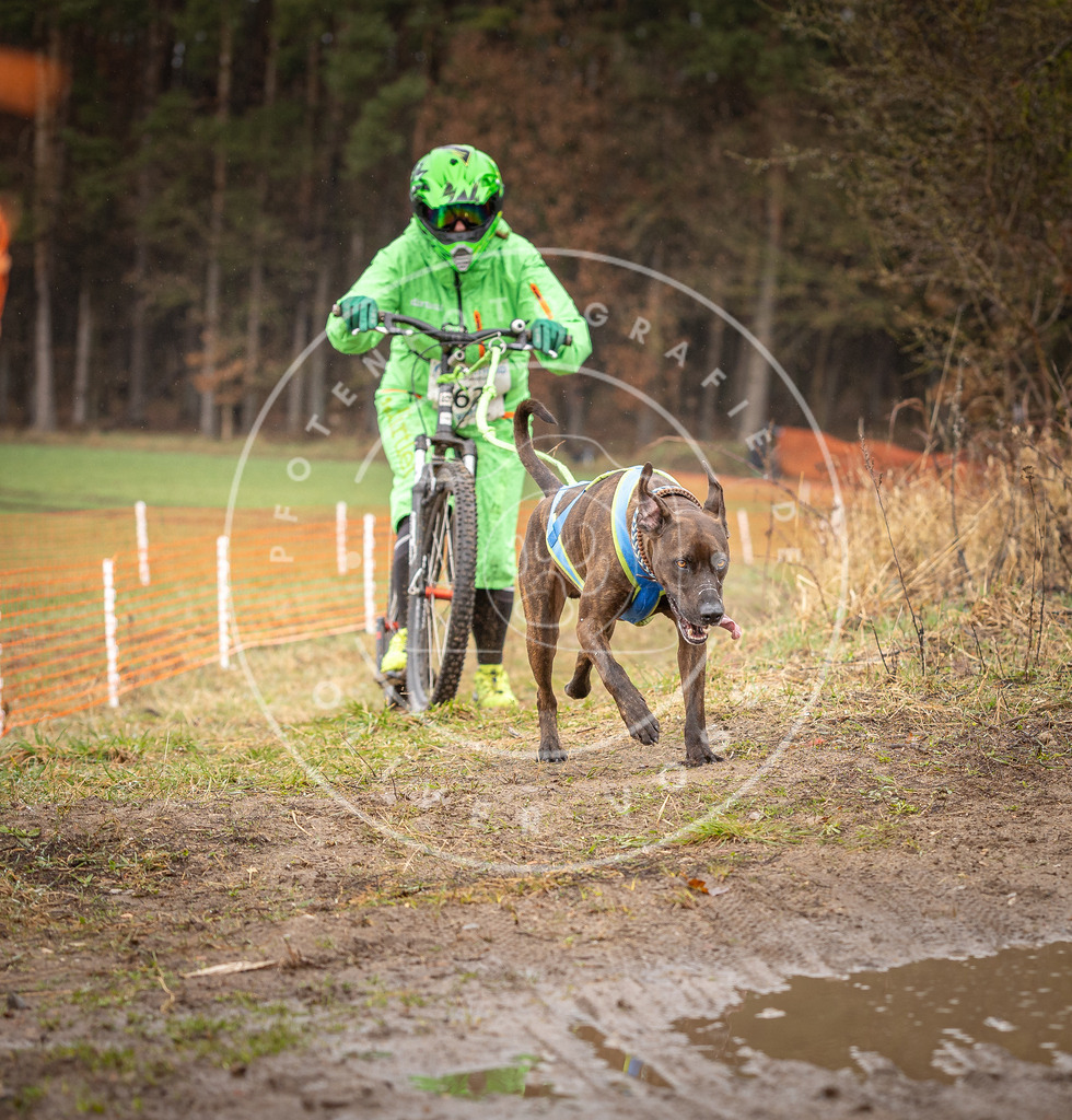DV3A9531 | Hundefotografie, Tierfotograf, Pfotenfotografie, Fotoshooting Hund, Hunde Portrait, Hundesport, Hundeportraits, Heideshooting, Hunde, Sportfotograf, Hundefotograf, Turnierhundsport, THS,  - Realisiert mit Pictrs.com