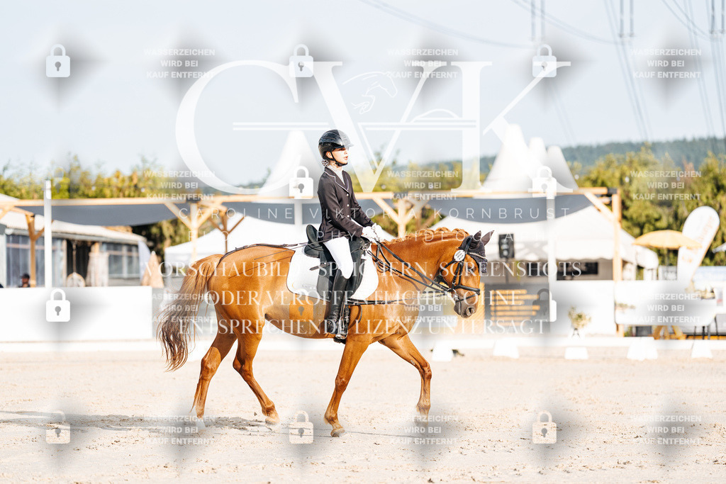 CK903780 | Turnierfotografie Pferdefotografie Trier Rheinland-Pfalz Pferdesport Reitsport Tierfotografie Sportfotografie Pferdevideo Pferdevideografie Equestrianvideography equestrianphotography  - Realisiert mit Pictrs.com