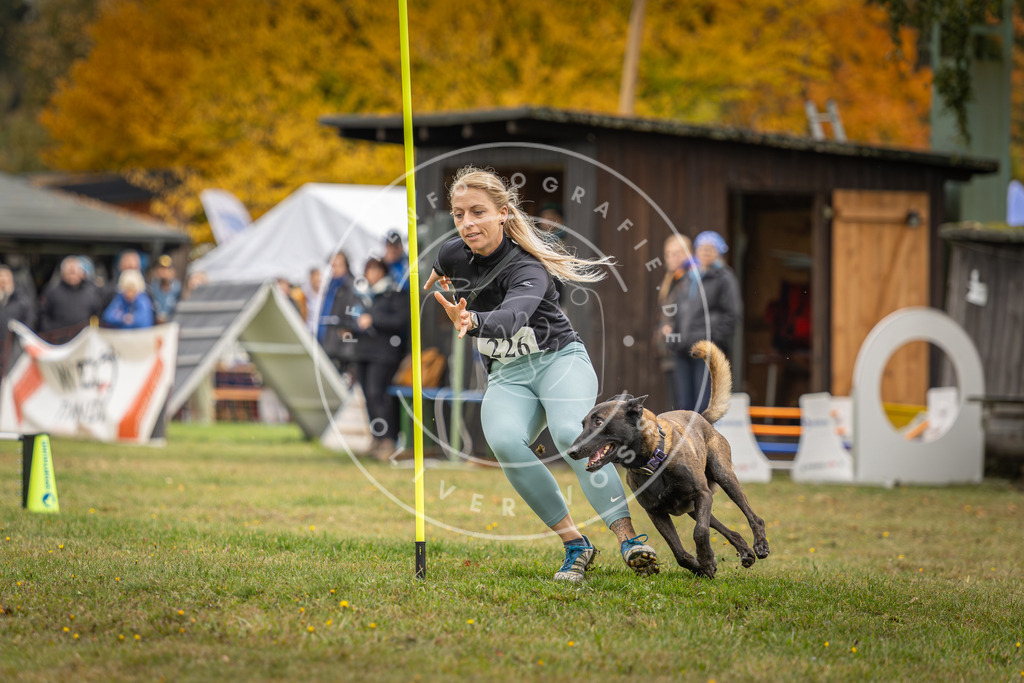 Pfotenfotografie_DV3A3192 | Hundefotografie, Tierfotograf, Pfotenfotografie, Fotoshooting Hund, Hunde Portrait, Hundesport, Hundeportraits, Heideshooting, Hunde, Sportfotograf, Hundefotograf, Turnierhundsport, THS,  - Realisiert mit Pictrs.com