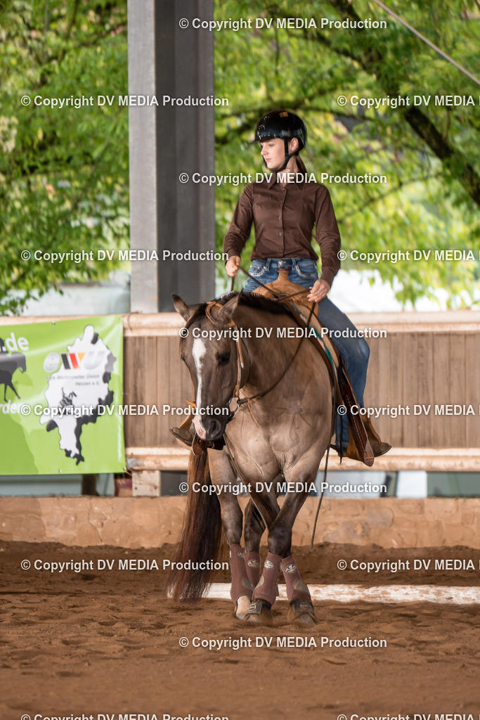 Erbach Tag 2-404 | dv-media-shop - Realisiert mit Pictrs.com