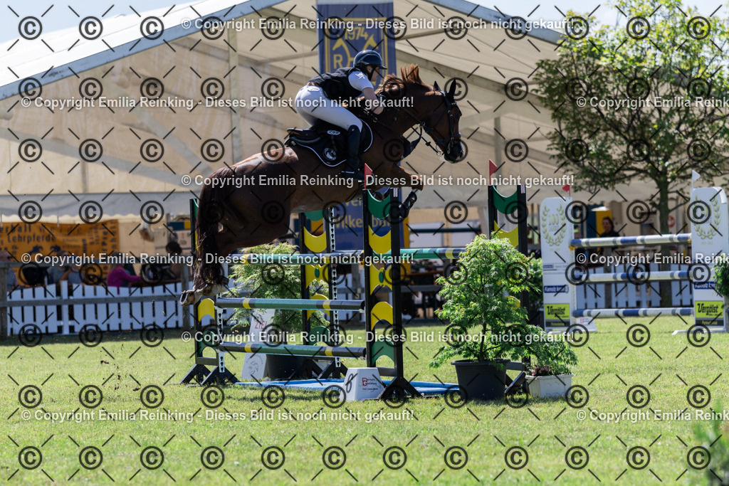 CL5A9812 | Emilia Reinking Fotografie - Realisiert mit Pictrs.com