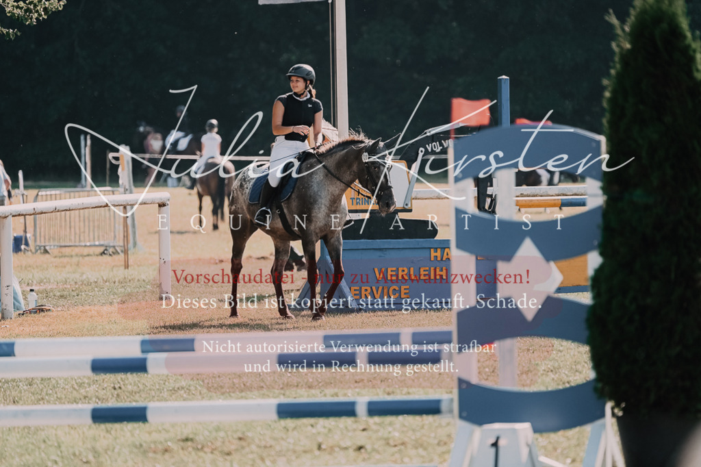 DSC_4887 | Pferde- und Turnierfotografie in Westsachsen. Pferdeportraits, Auftragszeichnungen und intuitive Kunst.