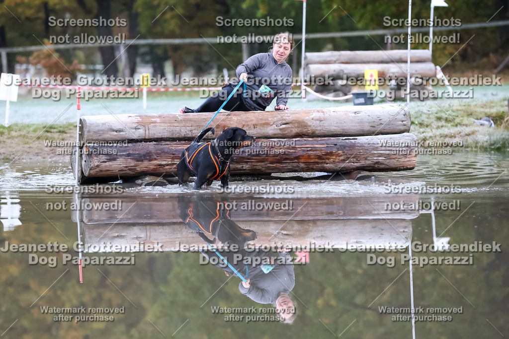 Dog Paparazzi - Strongdog 10-25-6071 | Dog Paparazzi Jeanette Grottendiek Fotografie & Videografie - Realisiert mit Pictrs.com