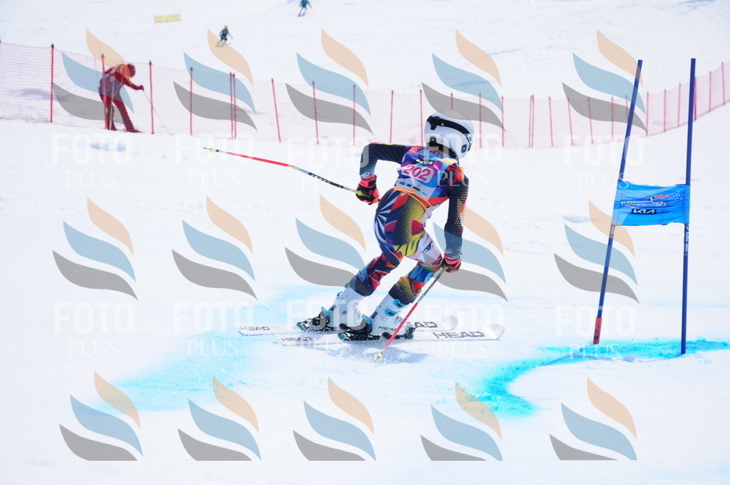 DSC_5781 | holidayphoto