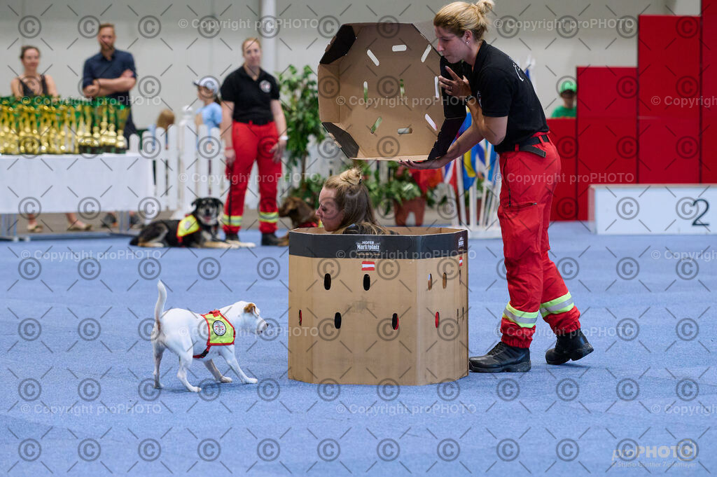 202406_ÖKV-IHA-Tulln24_DSC_3492 | proPHOTO - Realisiert mit Pictrs.com