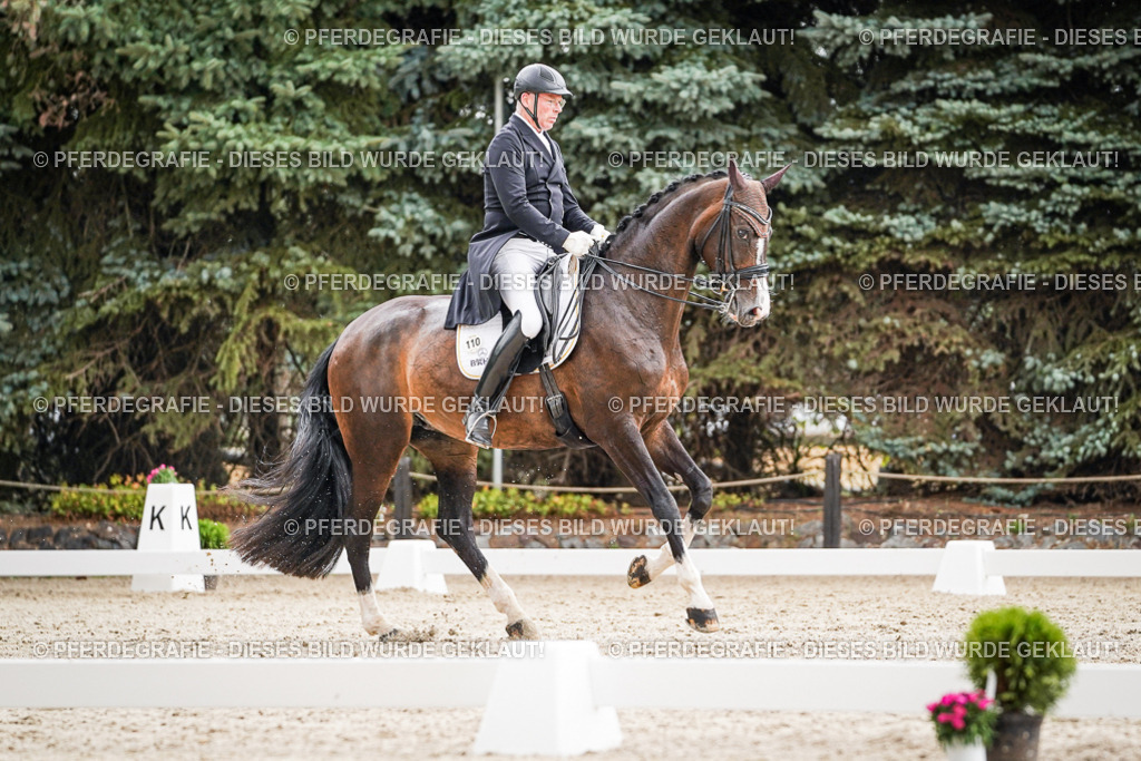 DSC06975 | Pferdegrafie