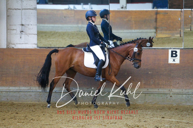 DKP43368 | Turniersportfotografie; Pferdefotografie; Dressurfotografie