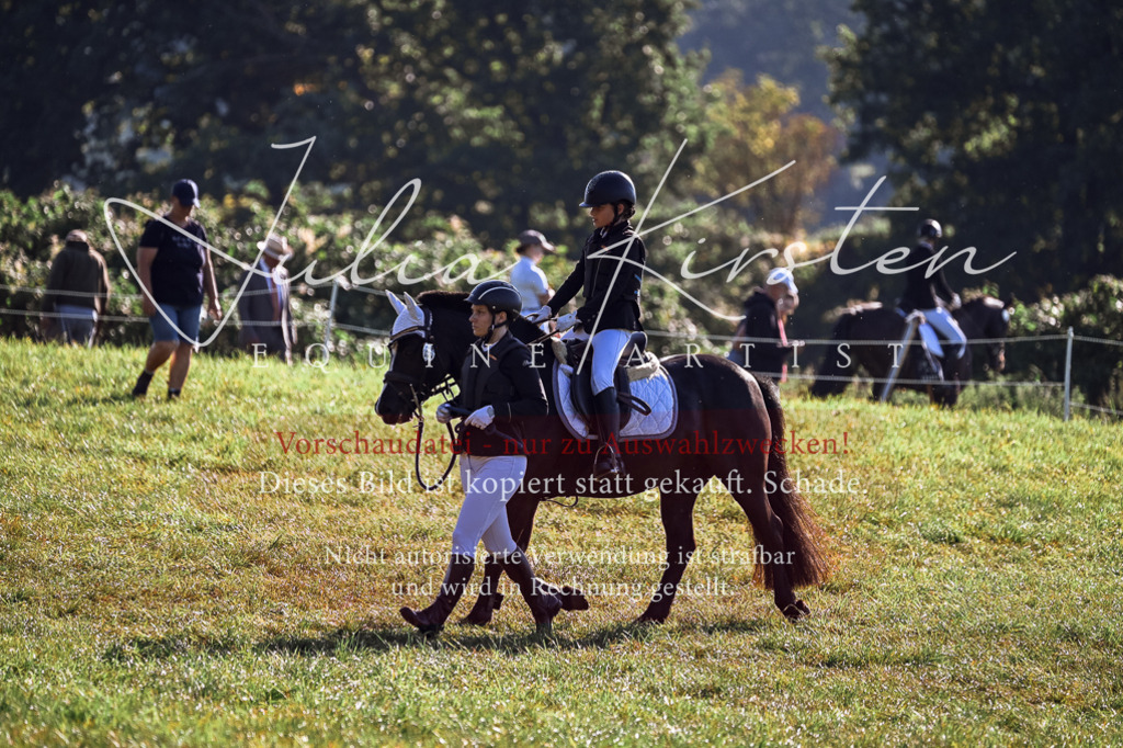 DSC_0377 | Pferde- und Turnierfotografie in Westsachsen. Pferdeportraits, Auftragszeichnungen und intuitive Kunst.