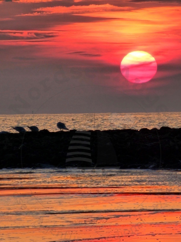 Sonnenaufgang Sonnenuntergang Nordsee | Sonnenaufgang und Sonnenuntergang an der Nordsee Nordseeküste - Realisiert mit Pictrs.com