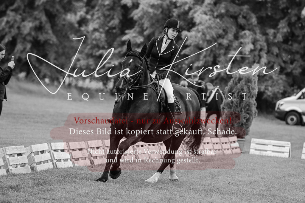 DSC_5002 | Pferde- und Turnierfotografie in Westsachsen. Pferdeportraits, Auftragszeichnungen und intuitive Kunst.