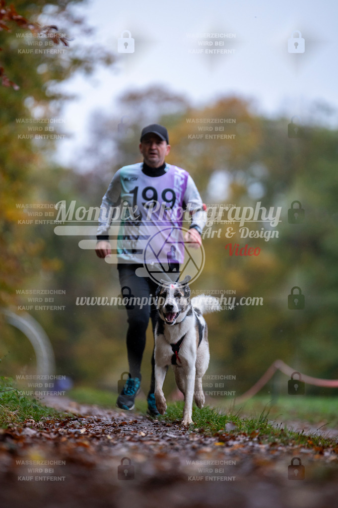 DBT_DAKM_SA_4_11_2023_Canicross-89 | PayLife