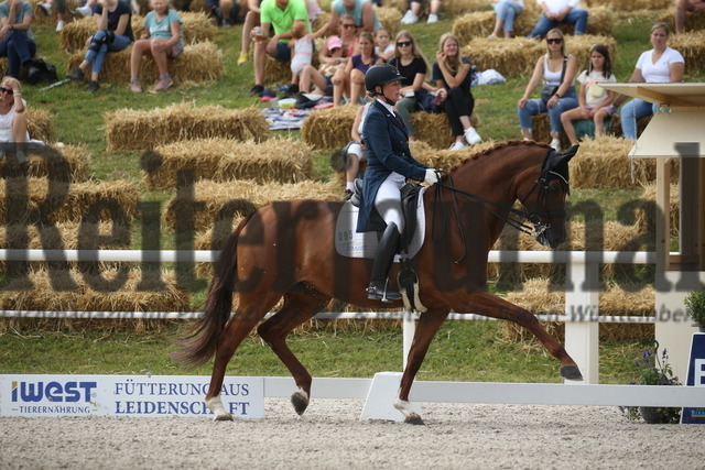 Birkhof_2022_GrandPrixSpecial_Nicole Casper_Birkhof_s Don Röschen FBW(11) | Alle Fotos der Reiterjournal Fotografin Doris Matthaes im Reiterjournal Online-Fotoshop. - Realisiert mit Pictrs.com