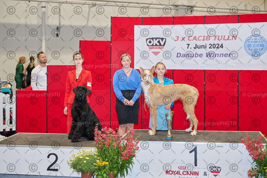 202406_ÖKV-IHA-Tulln24_NZ9_7758 | proPHOTO - Realisiert mit Pictrs.com