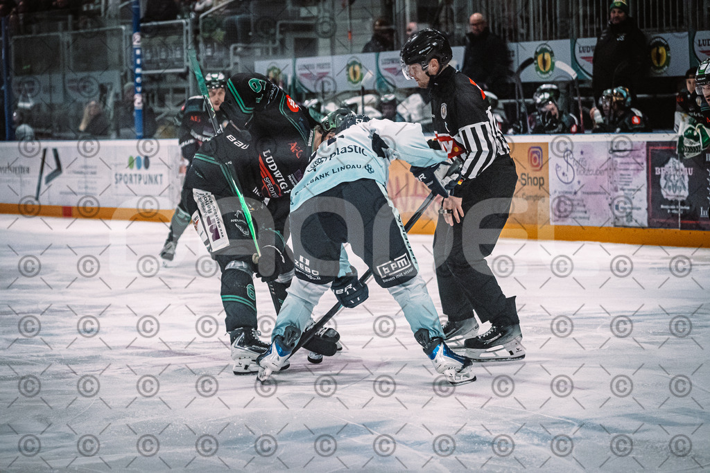 Alligators_vs_Lindau_21_12_2025-068 | Höchstadt Alligators Fotogalerie: Eishockey-Action aus Franken. Professionelle Spielfotos, Portraits & Stadionbilder zum Download. Jetzt entdecken! - Realisiert mit Pictrs.com
