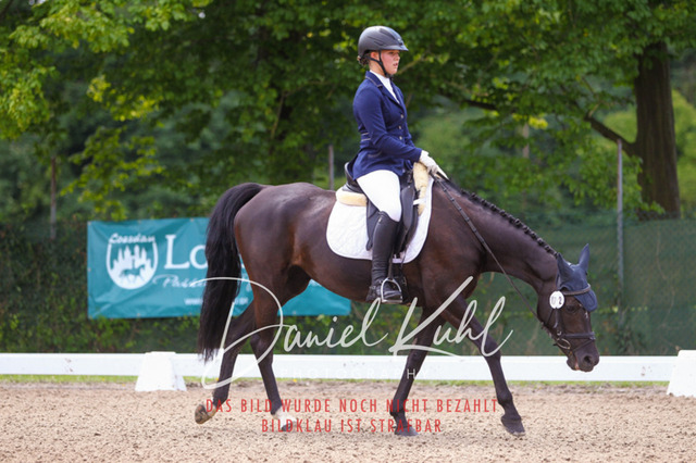 DKP42067 | Turniersportfotografie; Pferdefotografie; Dressurfotografie