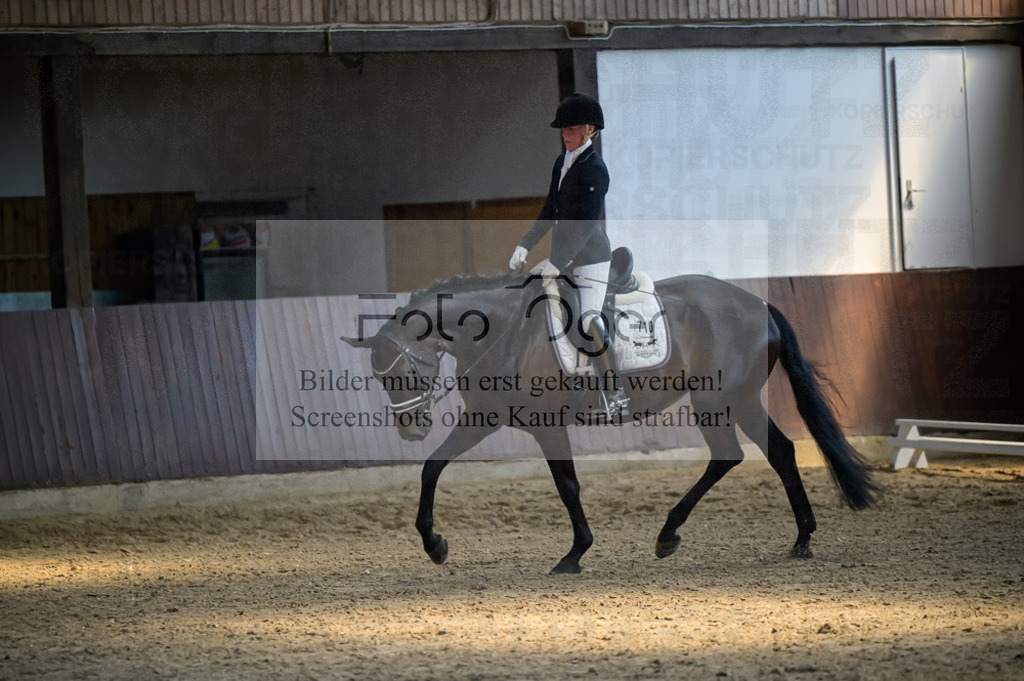 Reitturnier Voxtrup | Entdecke hochwertige Reitturnierfotos von Foto Oger. Professionell, emotional und authentisch – jetzt Lieblingsmomente im Shop bestellen.Deutschlandweite Turnierfotografie. - Realisiert mit Pictrs.com