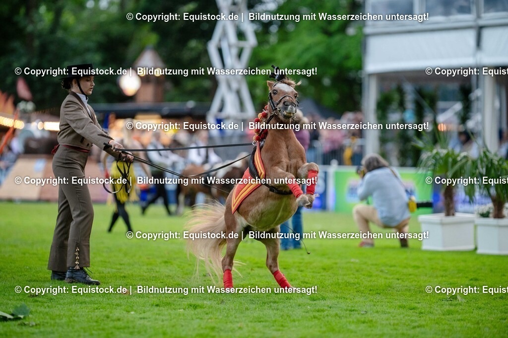 20250606_Lange-Pferdenacht_0632 | Foto: Thomas Hartig