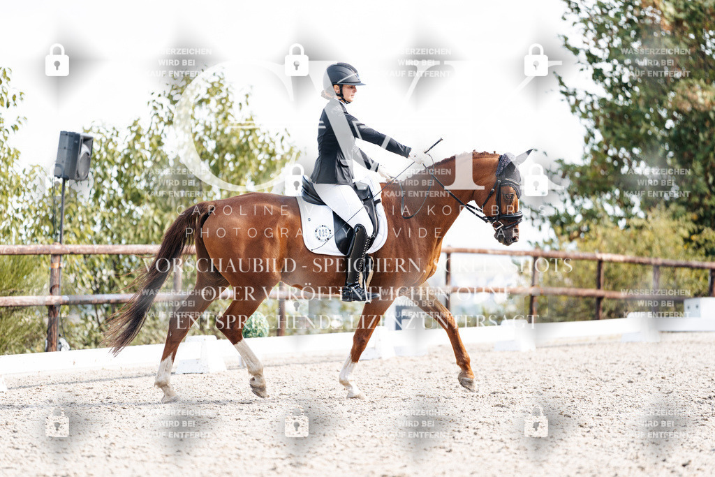 CK902185 | Turnierfotografie Pferdefotografie Trier Rheinland-Pfalz Pferdesport Reitsport Tierfotografie Sportfotografie Pferdevideo Pferdevideografie Equestrianvideography equestrianphotography  - Realisiert mit Pictrs.com