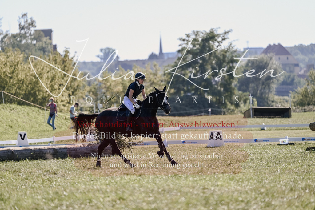 DSC_3543 | Pferde- und Turnierfotografie in Westsachsen. Pferdeportraits, Auftragszeichnungen und intuitive Kunst.