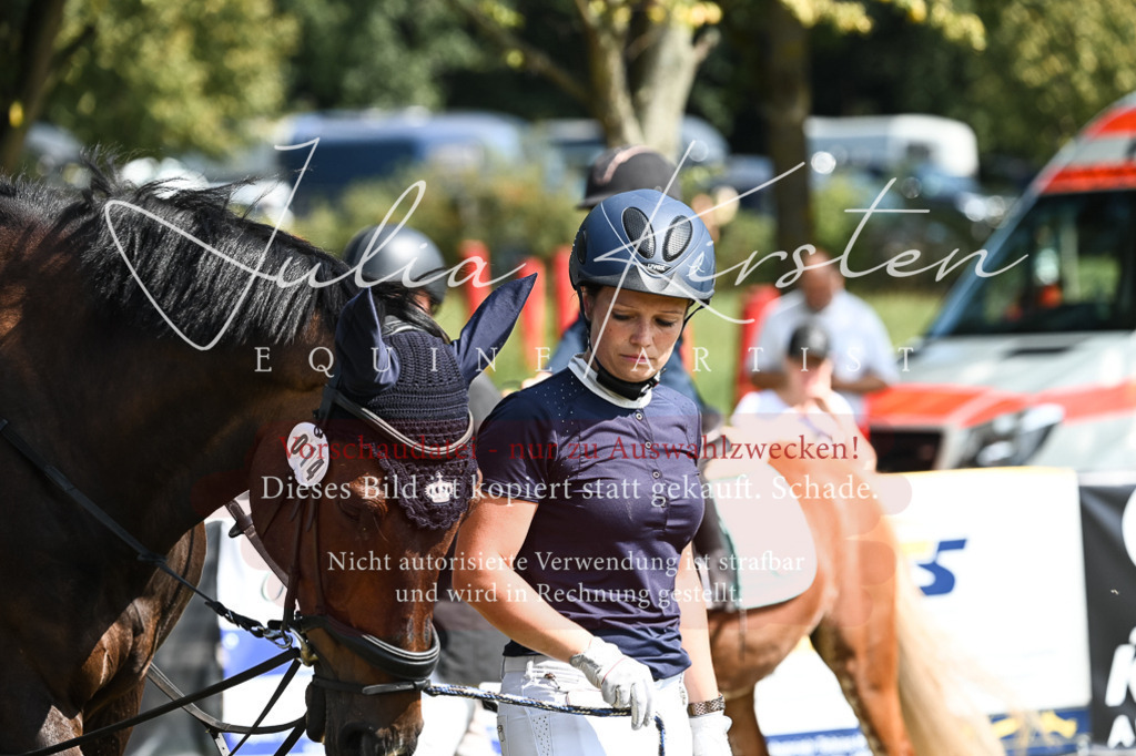 DSC_6798 | Pferde- und Turnierfotografie in Westsachsen. Pferdeportraits, Auftragszeichnungen und intuitive Kunst.